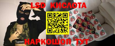 мяу мяу мука Будённовск