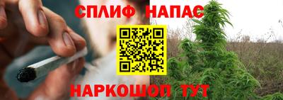 СК Бузулук