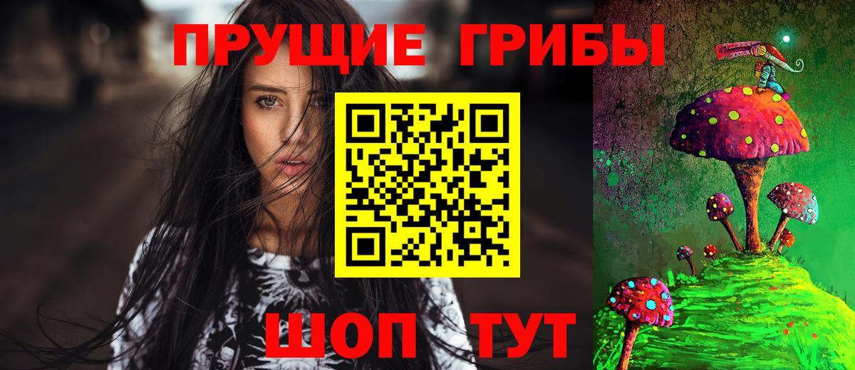 Псилоцибиновые грибы Psilocybe Сертолово