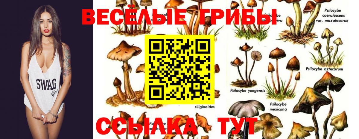 Галлюциногенные грибы Magic Shrooms  Вход с VPN  хочу наркоту  Сертолово 